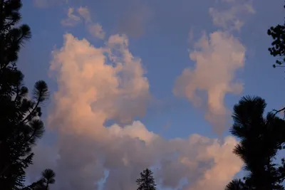 DSC_3038 (Large).JPG